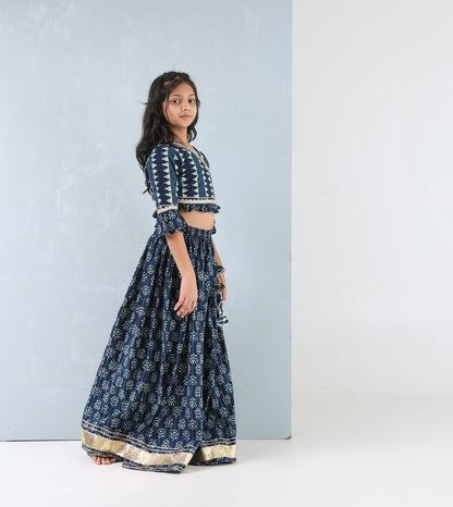 Royal Indigo Lehenga Set